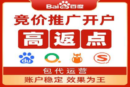 电商成功案例：竞价推广助力品牌崛起